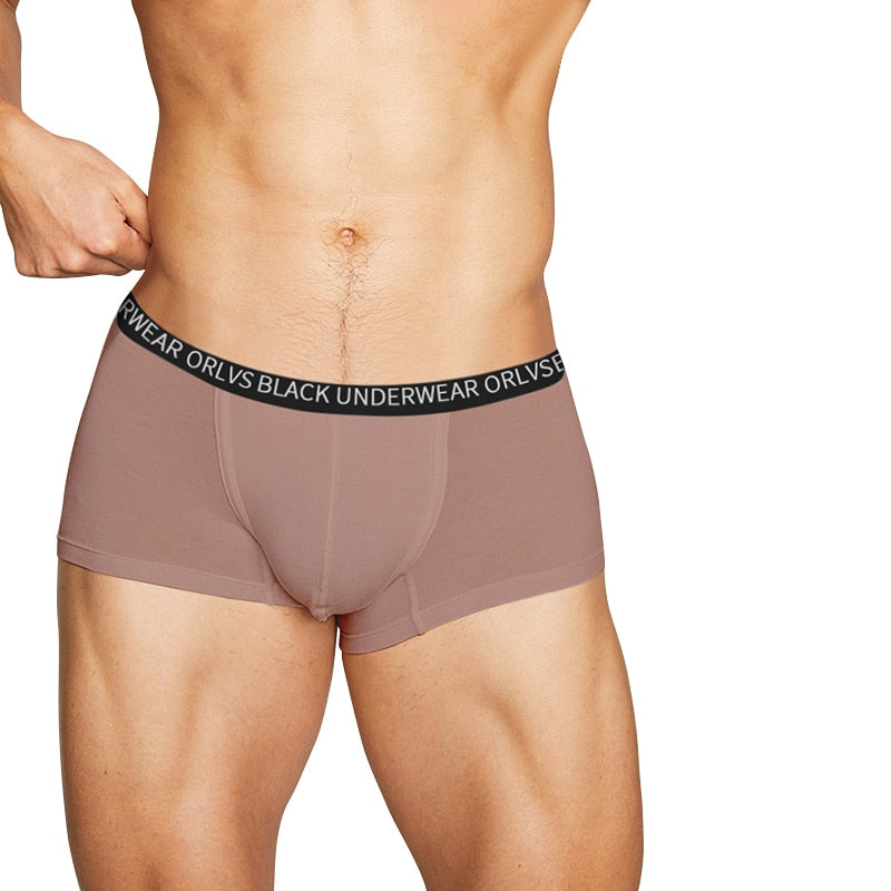 Underwear Boxer Underpants