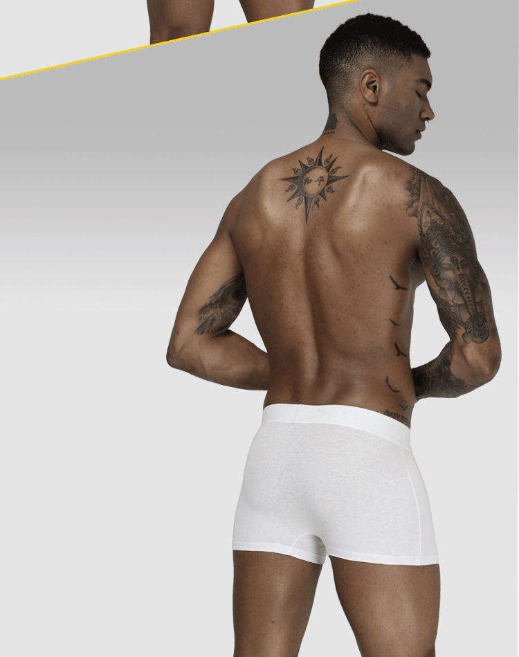 4 teile/los Orlvs Marke Mann Unterhosen Boxershorts Baumwolle Männer Boxer männlich atmungsaktive Unterwäsche Herren Höschen Soft Boxer or212