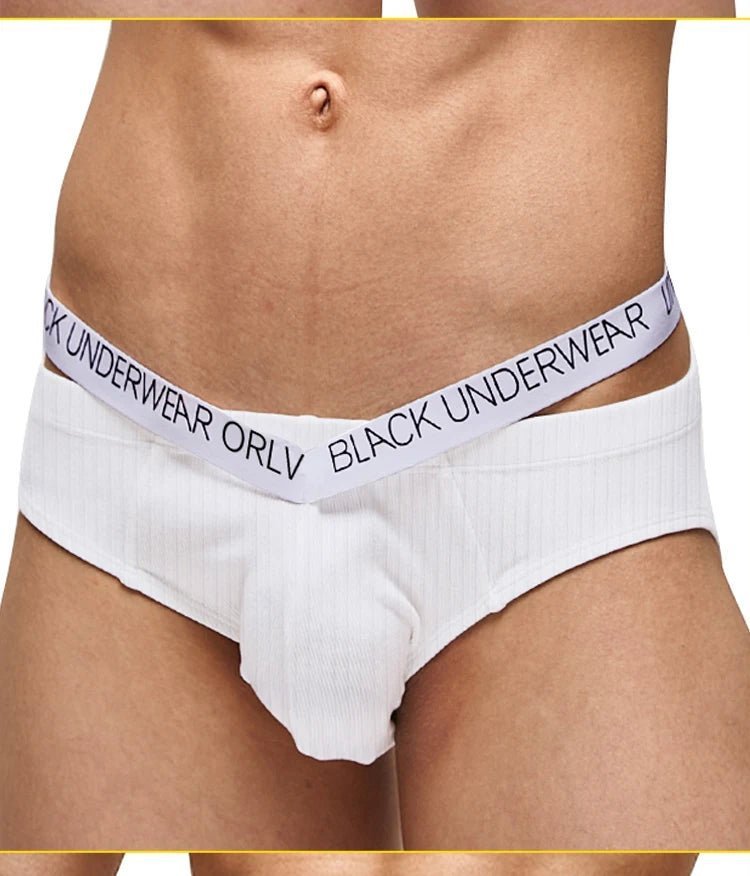 1/2/3PCS ORLVS Männer Unterwäsche Neue Sexy Ankunft Baumwolle Atmungsaktivem Anti - Bakterielle Pilz - Proofing Dreieck Shorts OR6251 - Blockshop.store