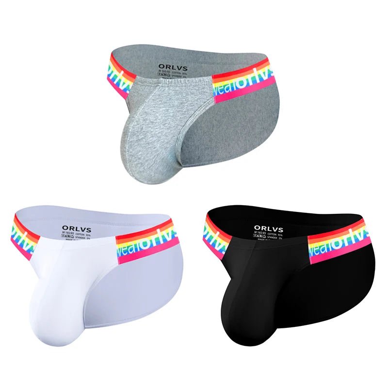 1/2/3PCS Sexy Mens Underwear Briefs Sissy Panties Bikini Underpants Male Jockstrap Pouch Cuecas Gay Trunks Underpants Slip Brief - Blockshop.store