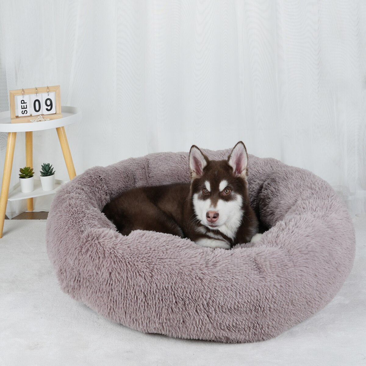 Plush Dog Bed Large Beds for Dogs Washable Medium Small Basket Accessorys Pet Furniture Fluffy Sofa Puppy Kennel Accessories Mat
