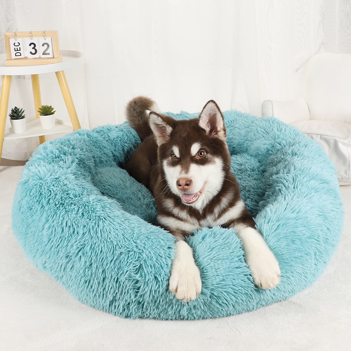 Plush Dog Bed Large Beds for Dogs Washable Medium Small Basket Accessorys Pet Furniture Fluffy Sofa Puppy Kennel Accessories Mat