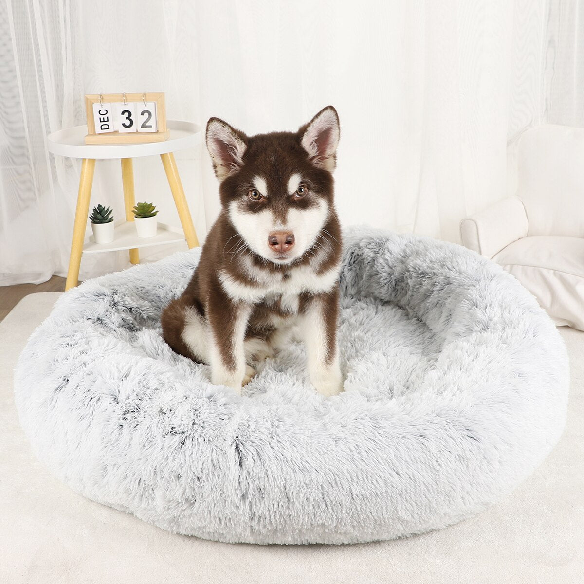 Plush Dog Bed Large Beds for Dogs Washable Medium Small Basket Accessorys Pet Furniture Fluffy Sofa Puppy Kennel Accessories Mat