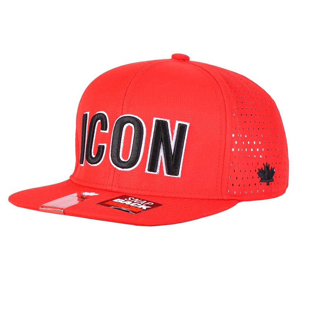DSQ2 High Quality ICON Letters Embroidery Men Mesh flat brim hat Women Hat Casual Cap Hip Hop Cap Snapback Caps Bone Dad Hat