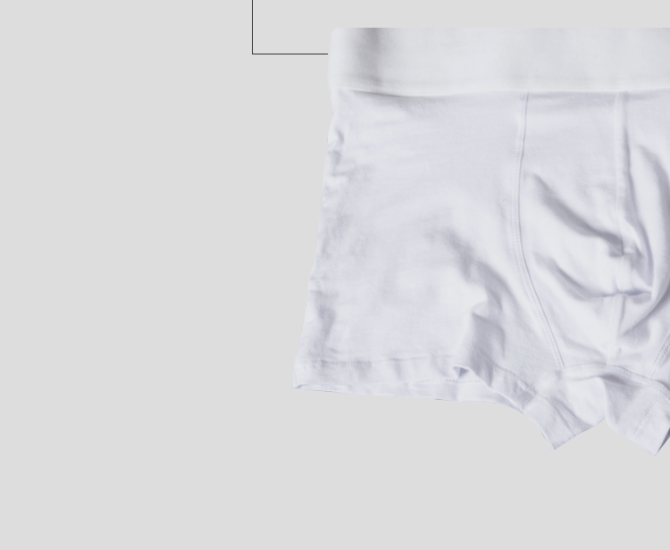 4 teile/los Orlvs Marke Mann Unterhosen Boxershorts Baumwolle Männer Boxer männlich atmungsaktive Unterwäsche Herren Höschen Soft Boxer or212