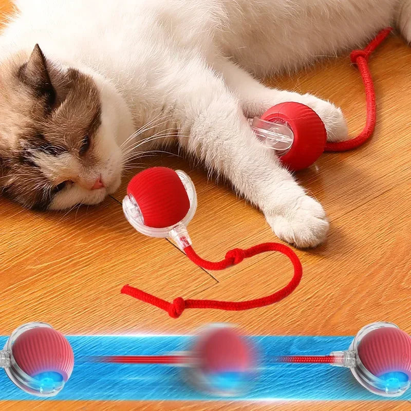 Intelligentes Katzenspielzeug, Haustierspielzeug, automatischer rollender Ball, gefälschter Schwanz, wiederaufladbar, elektrisches Haustier, interaktives Spielzeug, Hund, Katze, imitiert Maus