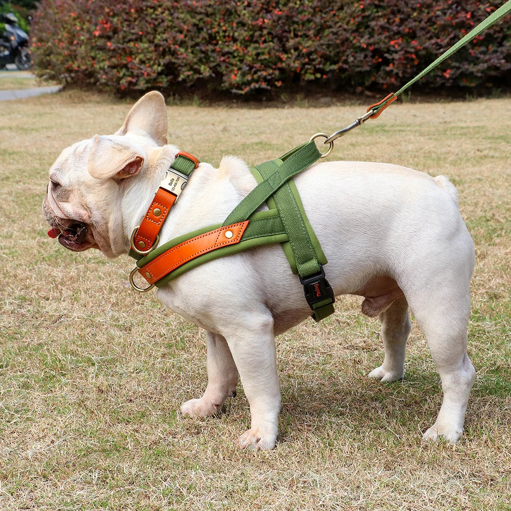 Nylon Hund Kragen Harness Leine Set Keine Pull Leder Welpen Hund Harness Pet Weste Gurt Für Small Medium Large Hunde französisch Bulldog