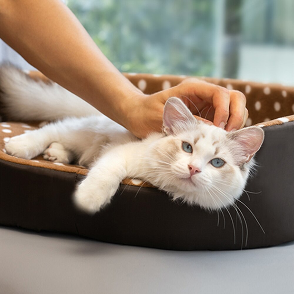 Cat Bed Pet Mat Products for Cats Sofa Comfort Dogs Accessories House Portable Pillow Sleeping Supplies Cushion Kitten Beds Mats